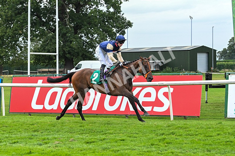 060925-Race 6-Bosphorus Rose-6030 - Race 6