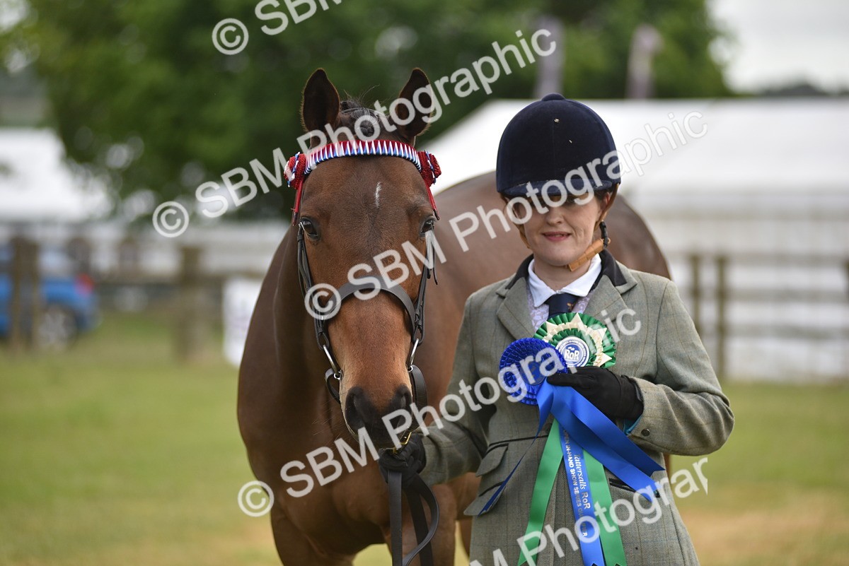 SBM_10681 - Class 109 - Retraining of Racehorses in Hand