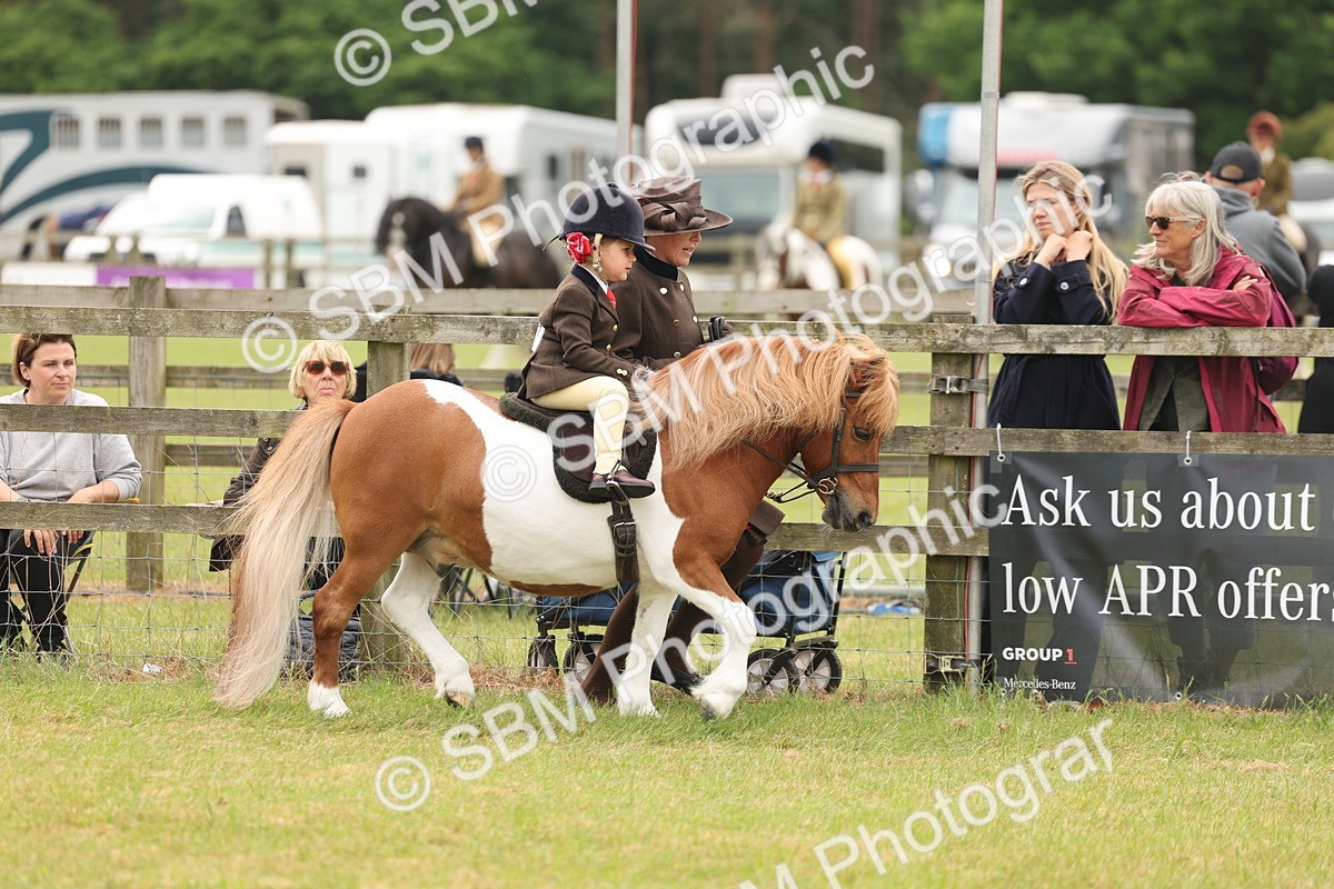 SBM_06658 - Class 74-75 - M&M Lead Rein and First Ridden Pony