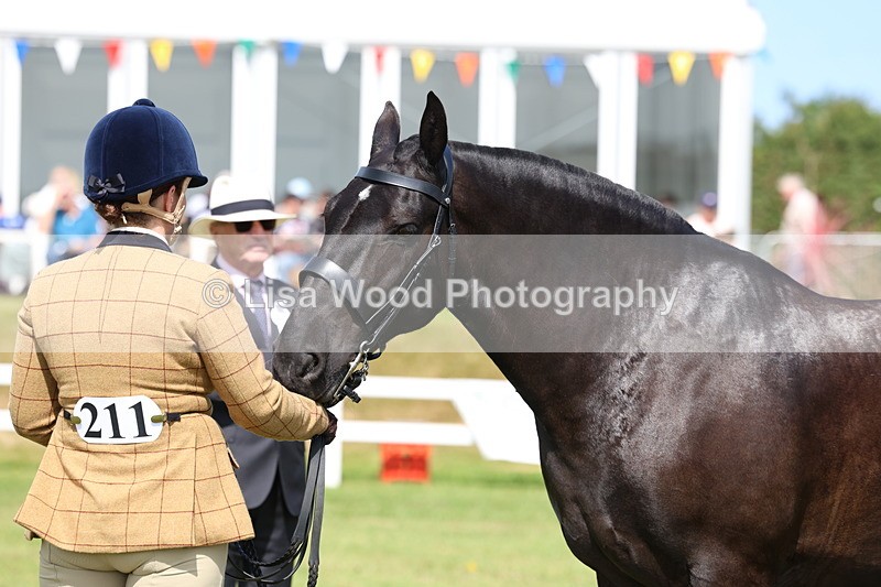 3E7A9987 - Class 5: Rising Star Lightweight/Heavyweight Cobs