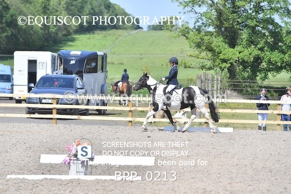 BPP_0213 - SHORT ARENA  MY QUEST PRELIM