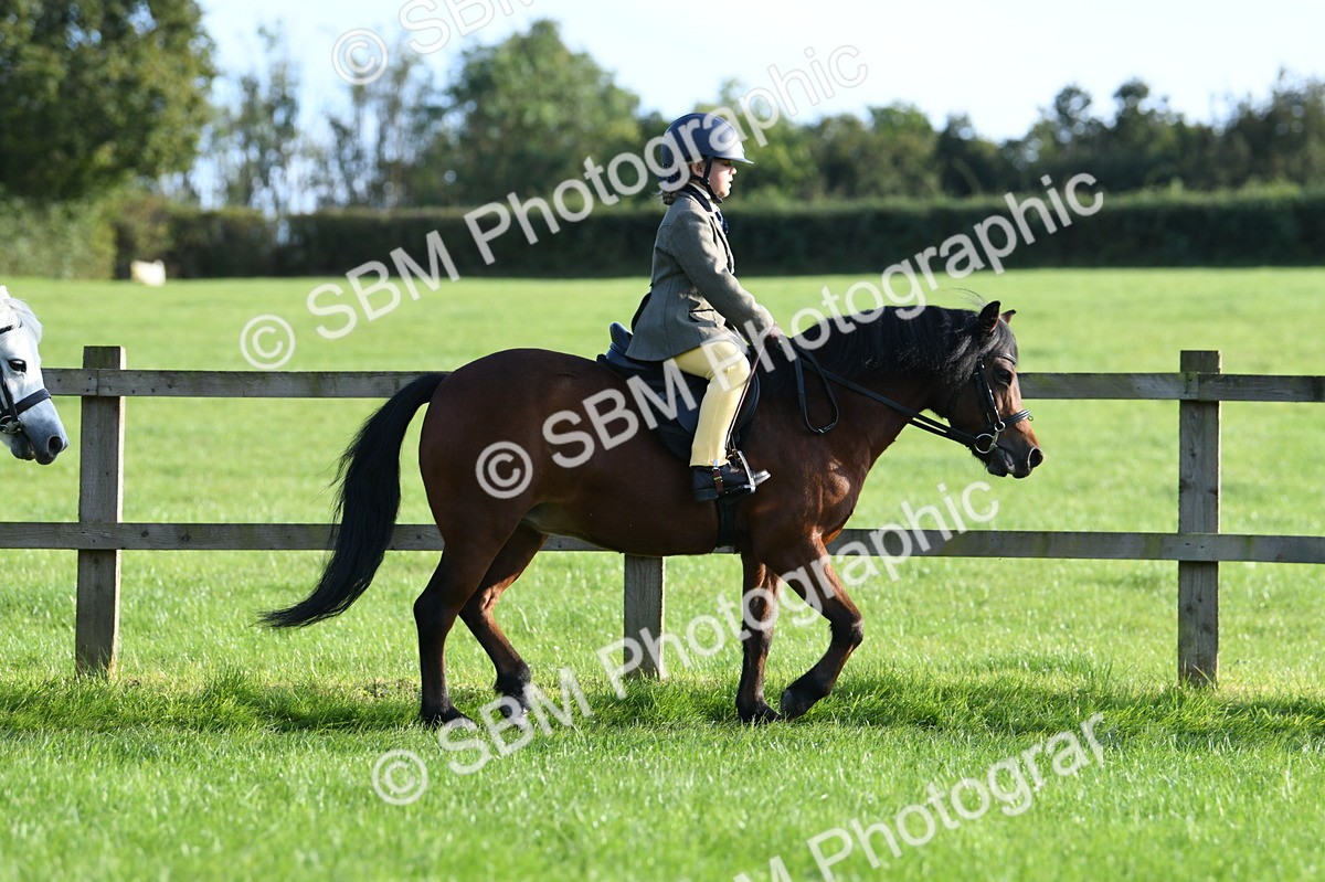 SBM_53995 - S23 - 1st Ridden Mountain & Moorland Pony