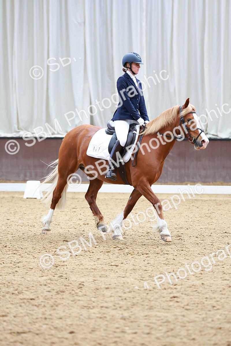 SBM_000486 - Class 3 - Prelim 1
