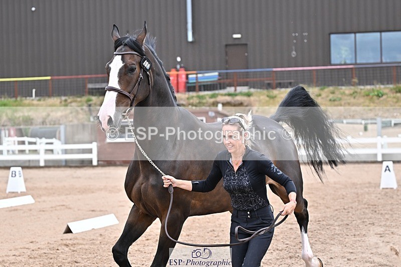 250716-133742-00601 - Trot Up 1.30 to 2.30