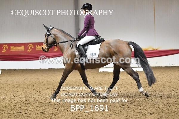 BPP_1691 - PC NOVICE DRESSAGE