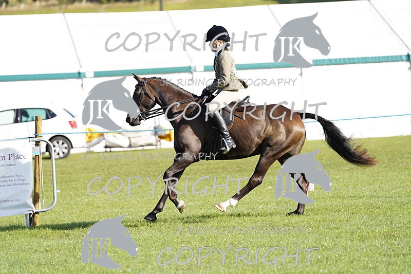 _DSC9427 - Class 8 & 17 Ridden Hunter & Ridden Hunter Pony