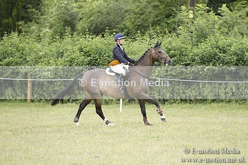 BVR160717-875 - Ring 3 BVRC Show 16/07/17