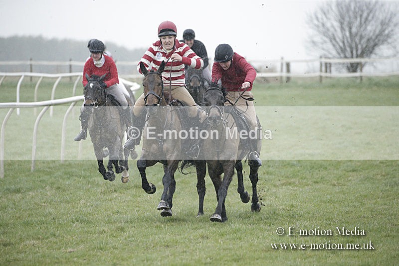 PtP 150320 0010 - New Forest Point-to-Point Larkhill 15/03/20