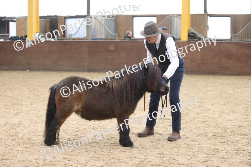 20251109-0379 - Class 14 - Geldings 4 Years and Over