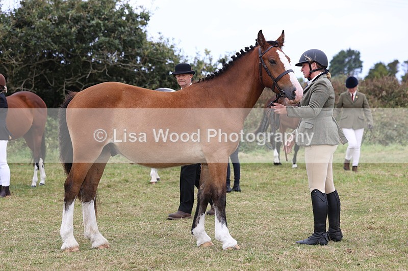 3E7A4197 - Class 15: Two Year Olds