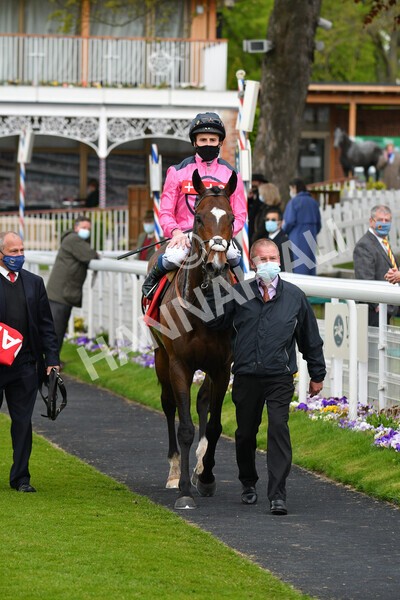 yr14052021r4-36 - Race 4 3.10pm The Matchbook Yorkshire Cup