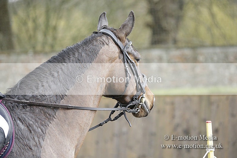 BVRC 050320 0311 - Bourne Valley riding Club Show Jumping Tidworth 08/03/20