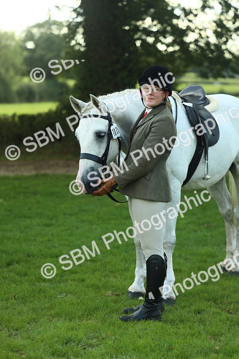 SBM_50733 - S33 - Working Hunter & Working Show Horse