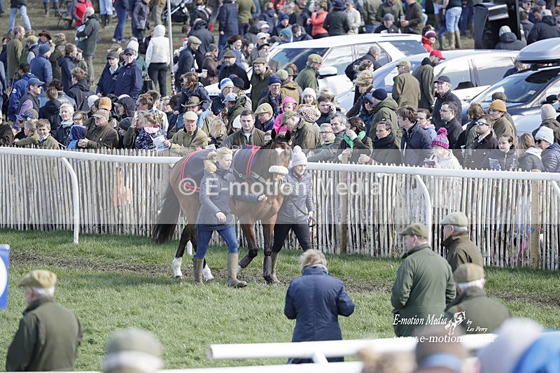 PtP 100423 691 - Old Berkshire Point-to-Point Lockinge 10/04/23