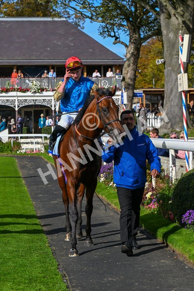 111025-Race 1-Division-0211 - Race 1 Coral Rockingham Stakes at York