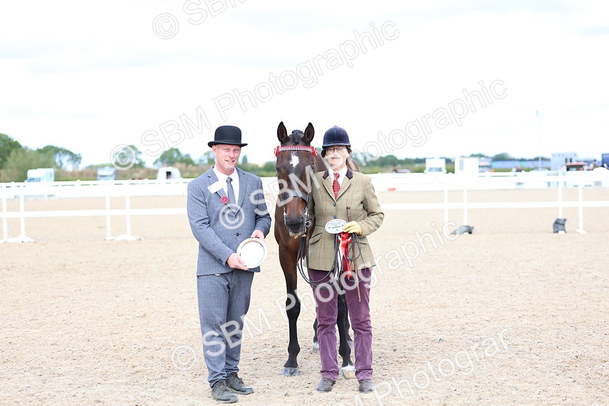 SBM_15294 - Class 313 - IH Retired Racehorse