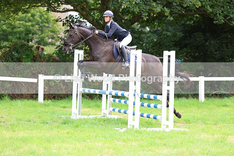 3E7A7339 - Class 5: Senior British Novice/90cm open