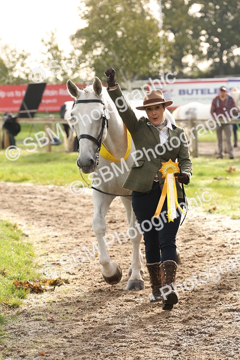 SBM_54731 - S53 - Hunter In Hand