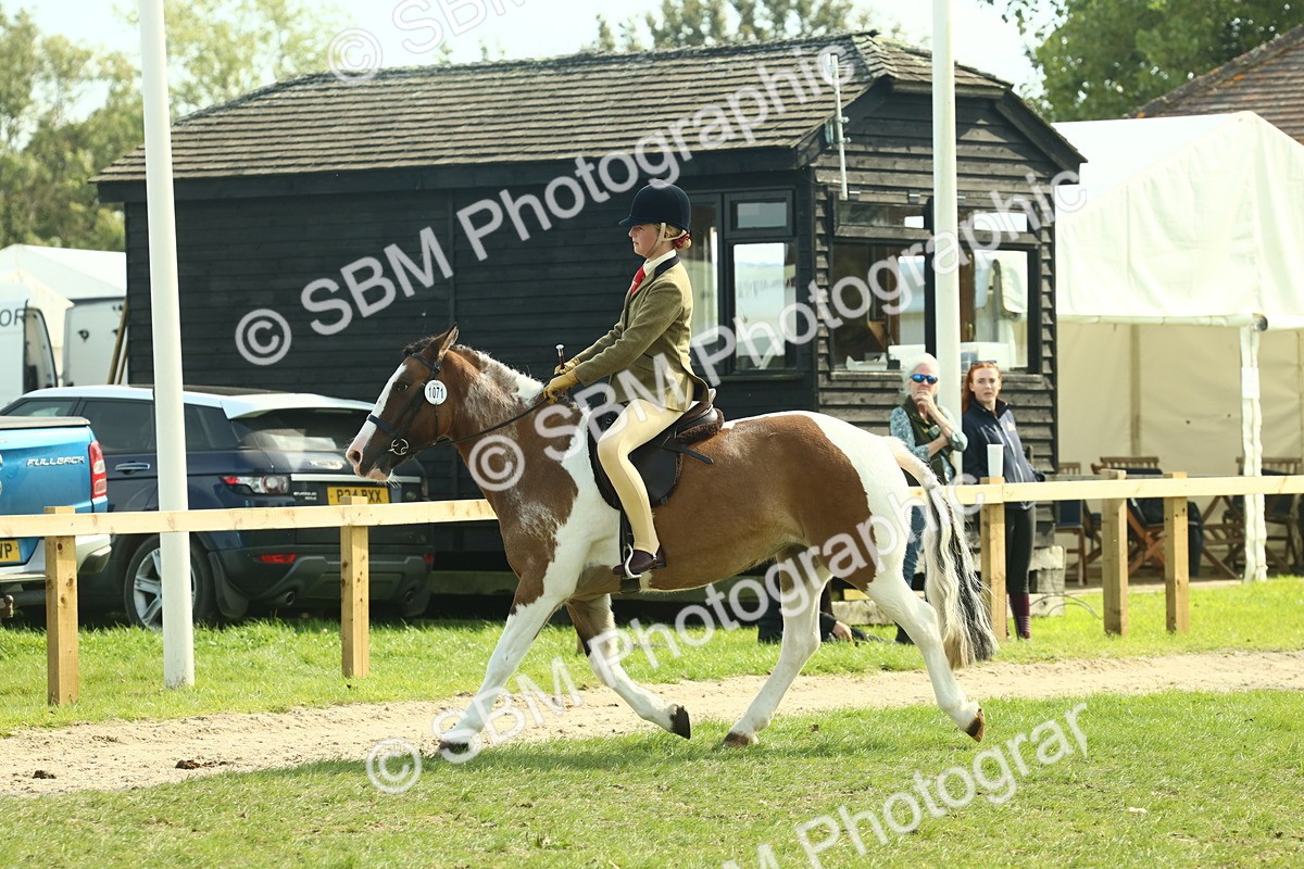 SBM_67650 - S56 - Coloured Pony Ridden