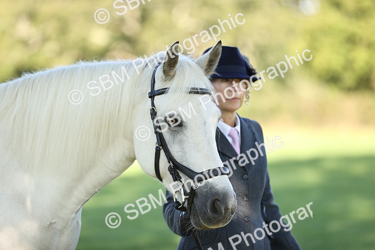 SBM_15914 - S1 - TSR in Hand Horse & Pony Showing