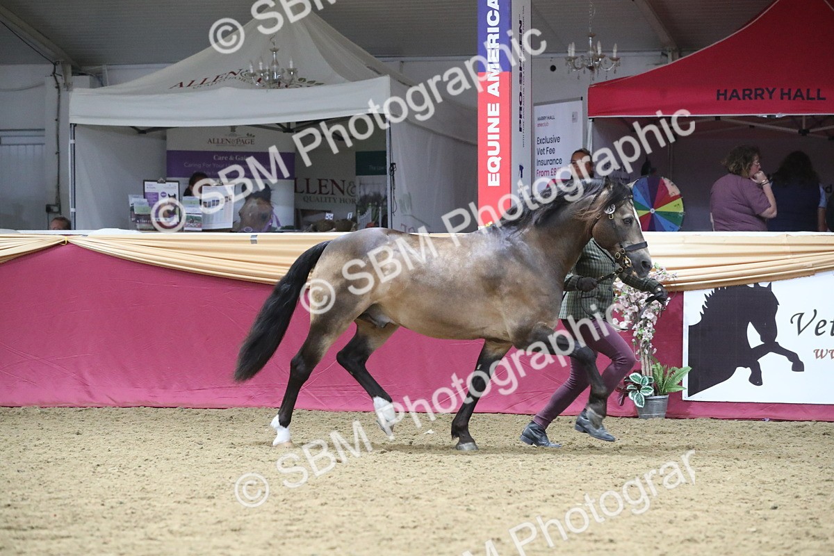 SBM_17174 - M&M Supreme Final Champ