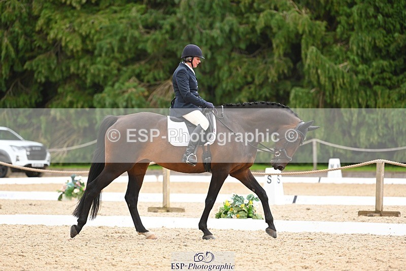 230813-144035-07814 - Cls 13 Medium Bronze 13.15 to End