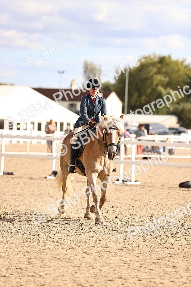 SBM_18224 - Class 423 - Equitation (best rider) Adult