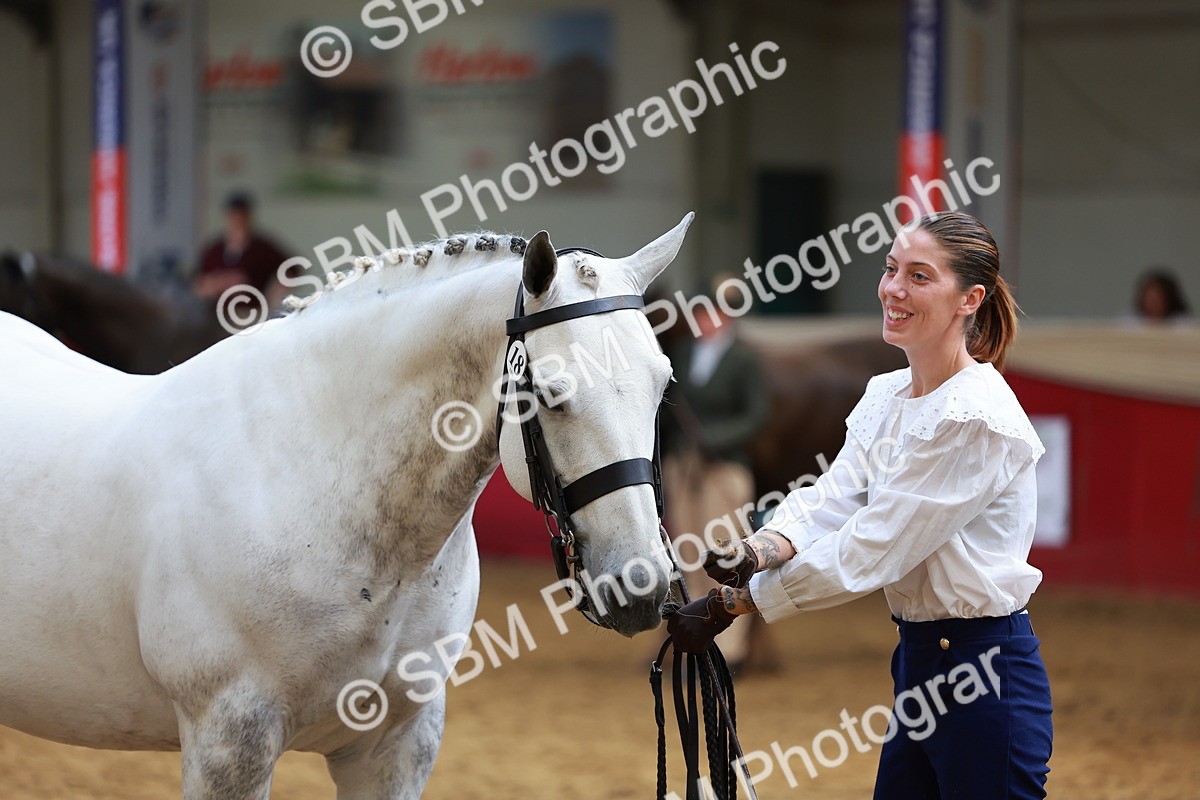 SBM_18695 - Class 903 - Sup Final - IH Pre Vet