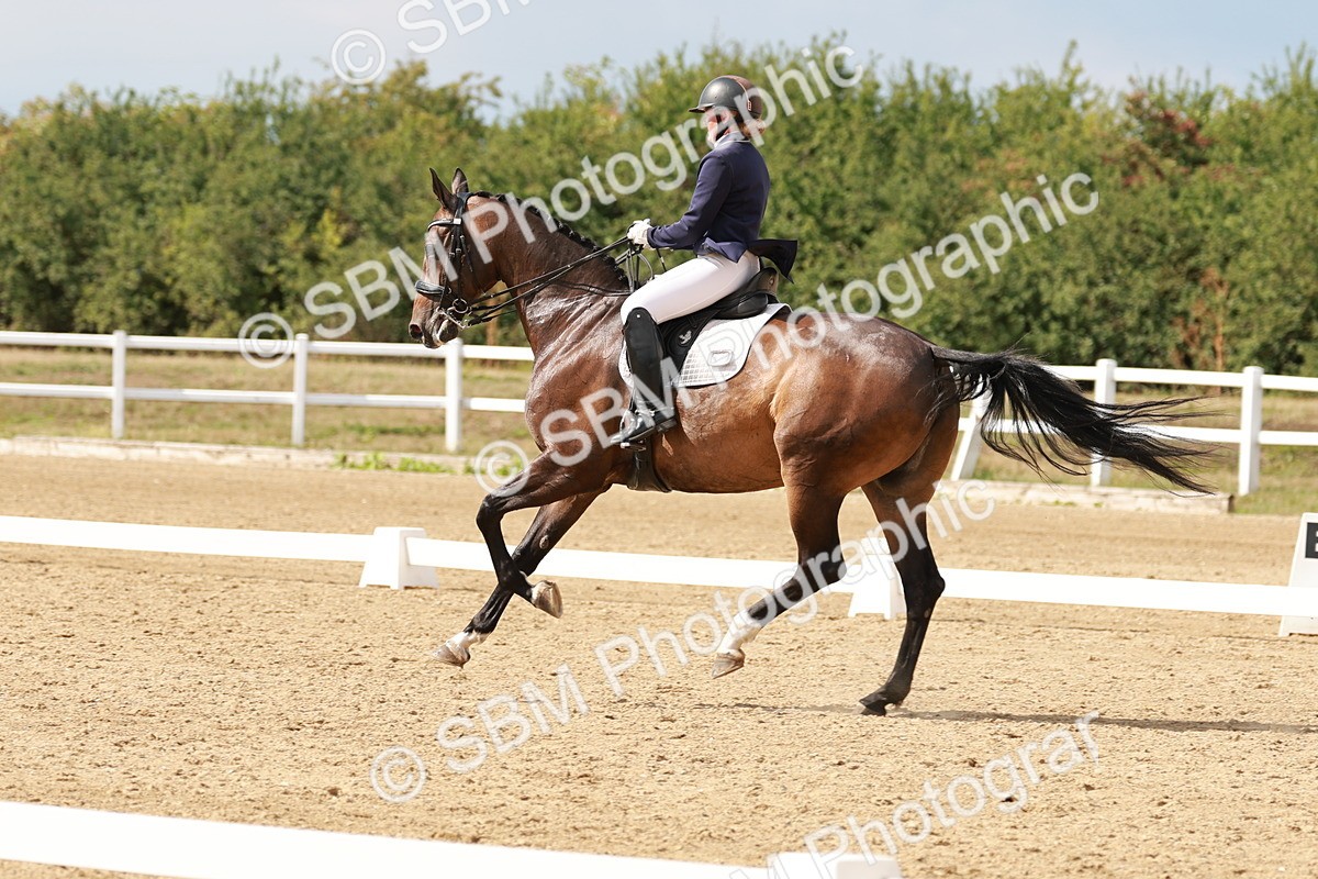 SBM_002435 - Class 11 - Medium 6