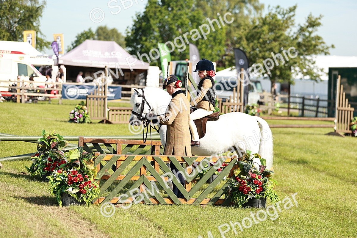 SBM_11297 - Class 106-107 - BSPS LIHS Working Sports Pony