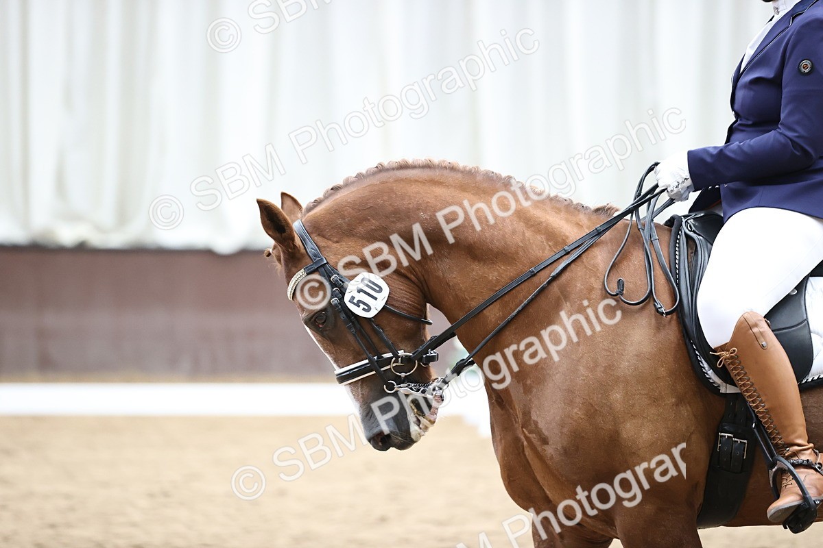 SBM_012638 - class 7 - Elementary FSM