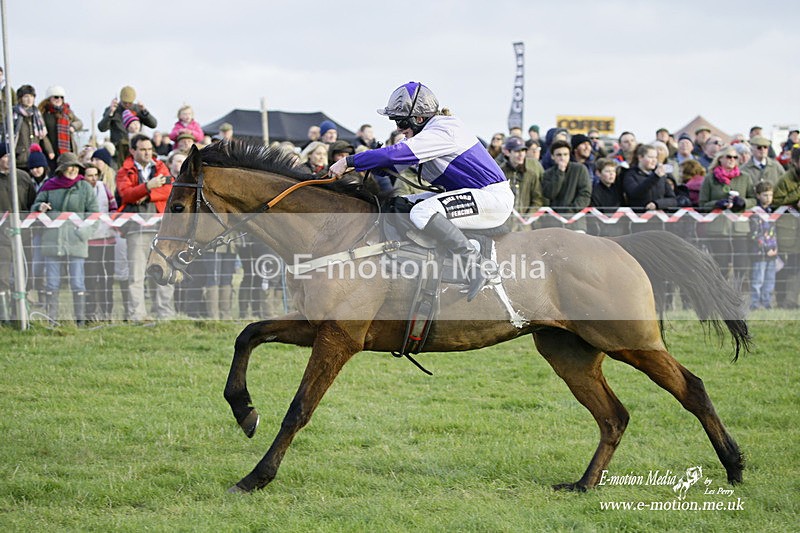 PtP 300122 540 - South Dorset Hunt - Point-to-Point Races 30/01/2022