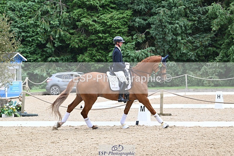 240811-132422-05949 - Medium Silver