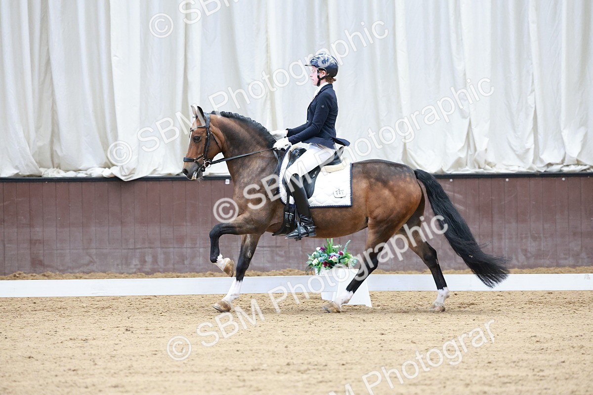 SBM_017159 - Class15 - FEI Pony