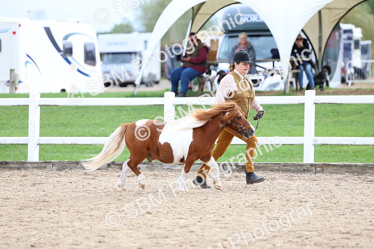 SBM_05836 - Class 29 - IH Veteran Pony