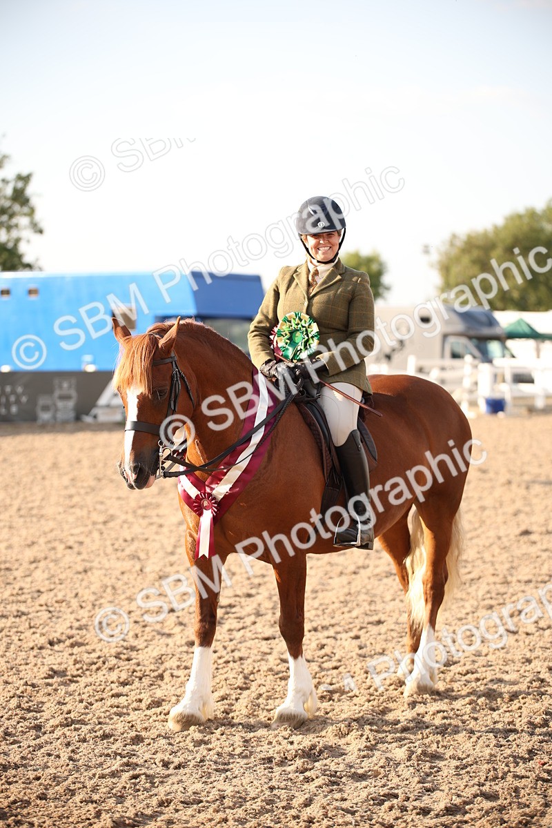 SBM_09218 - Regional Ridden Champ