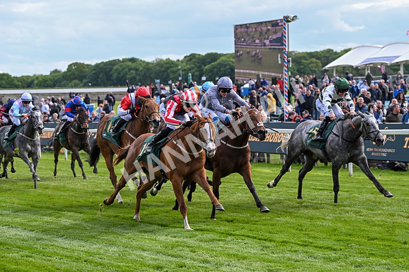 150526-Race 6-Fortification-8410 - Race 6 4.40pm Irish Thoroughbred Marketing Handicap
