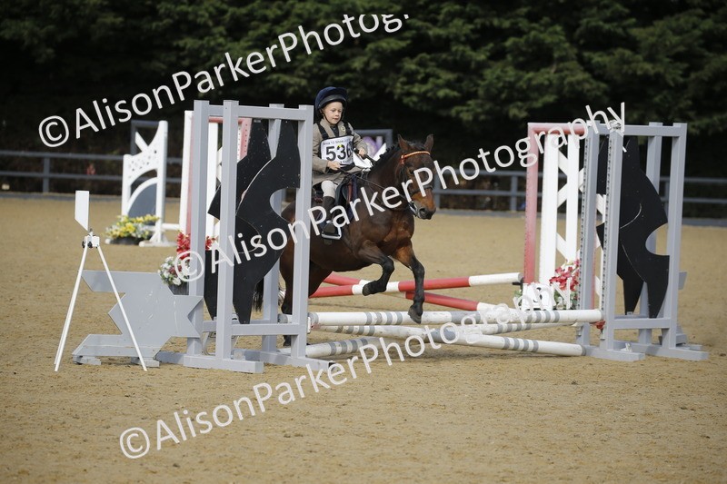 20250622-1605 - 40cm