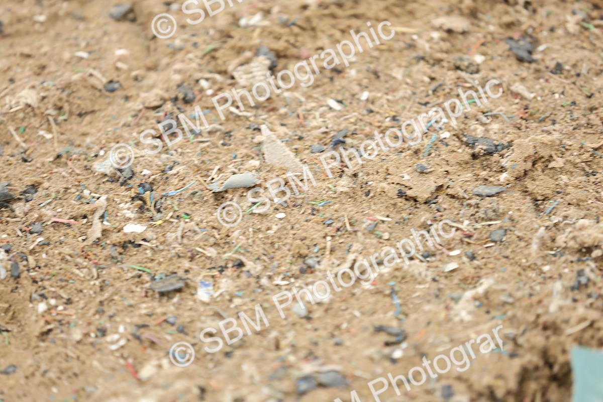 SBM_003936 - Class 9-12 - Novice 2 Elementary 3