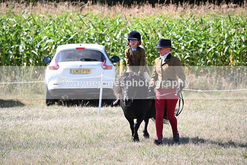 WJ6_8100 - Class 36 Lead Rein