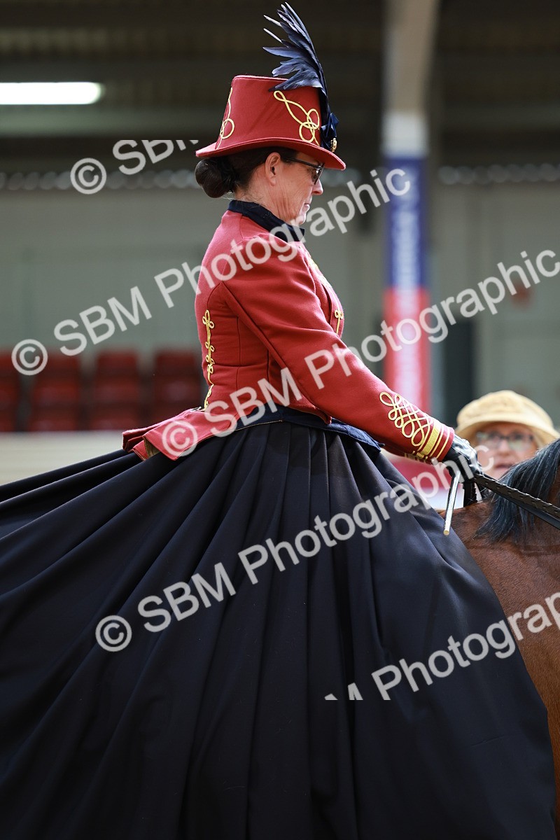 SBM_14802 - Class 107 - Ridden Costume - Astride Adult  (20+)