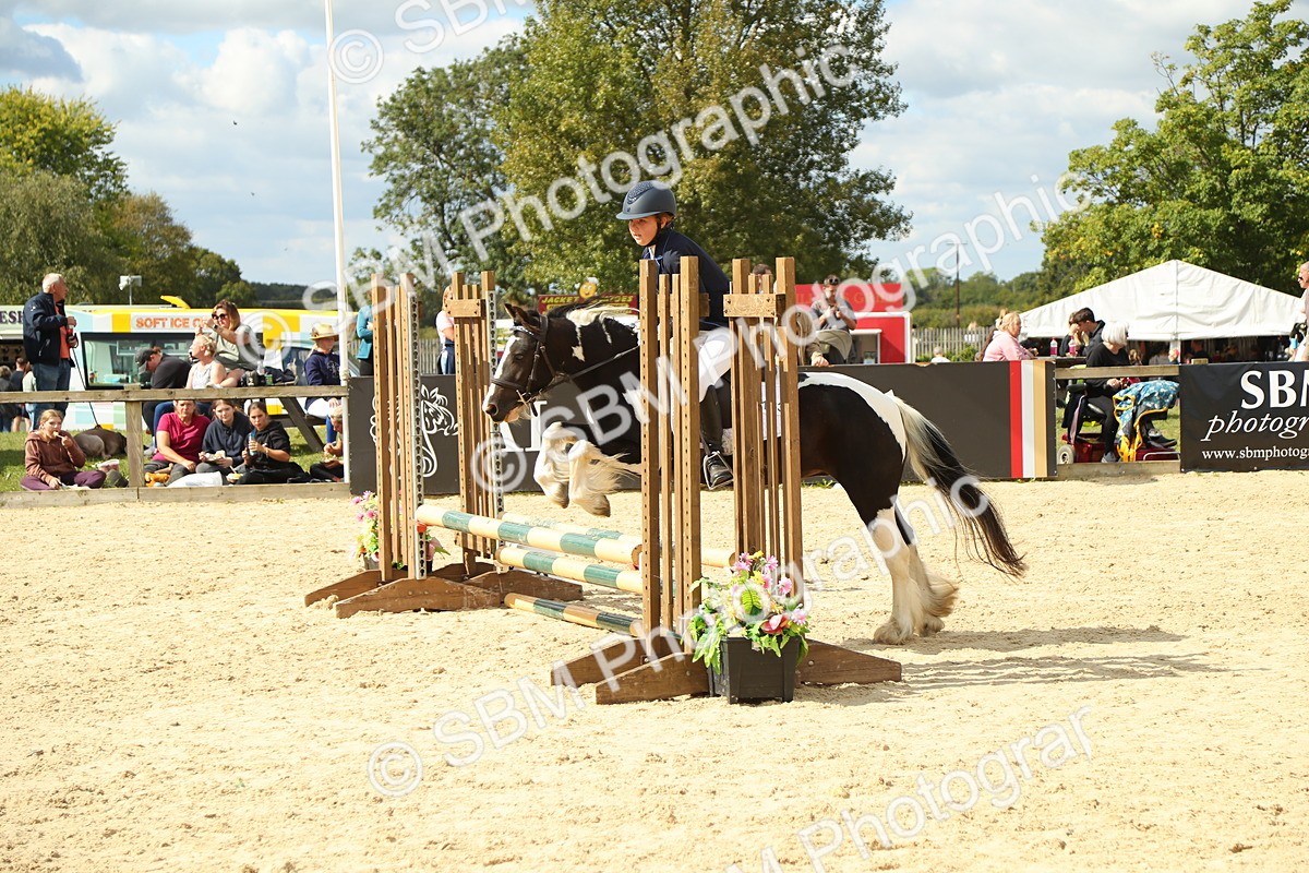 SBM_41388 - J6 - Junior Pony 55cm Championships