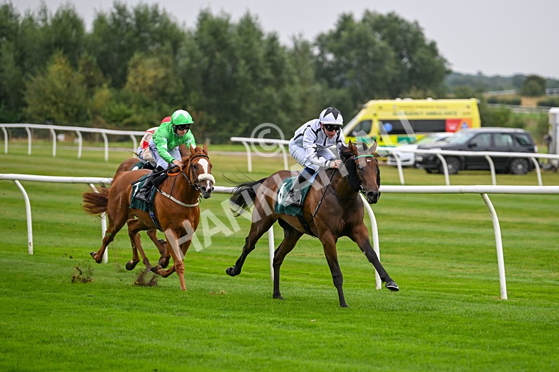 280824-Race 1-Nala Star-3933 - Race 1