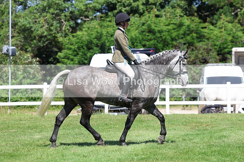 3E7A9125 - Working Hunter Championship