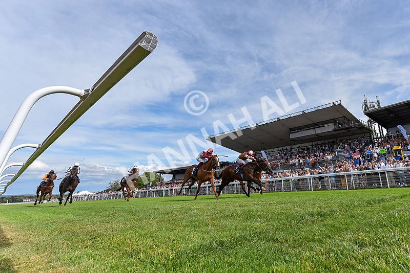 050725-Race 5-Take A Breath-6119 - Race 5