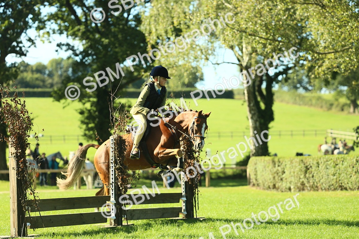 SBM_36422 - S29 - Novice & Newcomers Working Hunter Pony