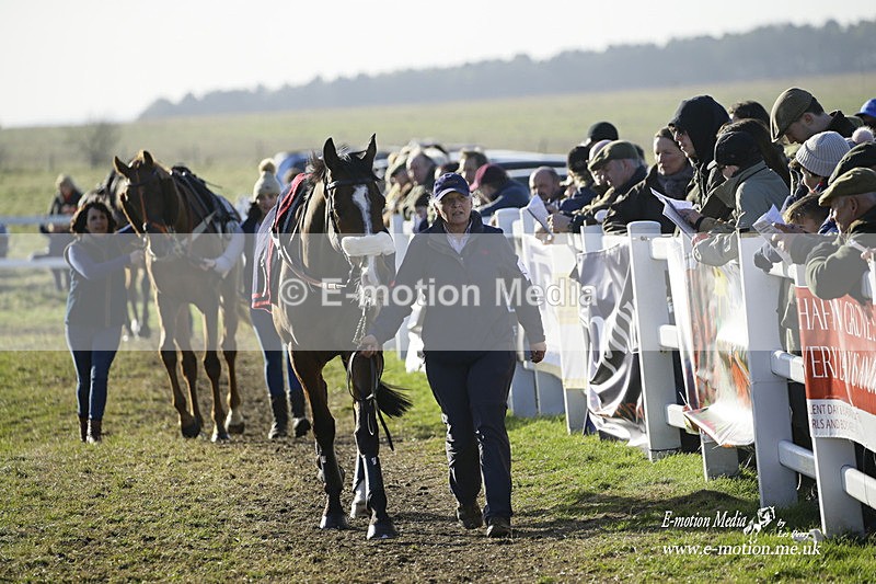 PtP 270222 413 - South & West Wilts Point-to-Point Larkhill 27/02/22