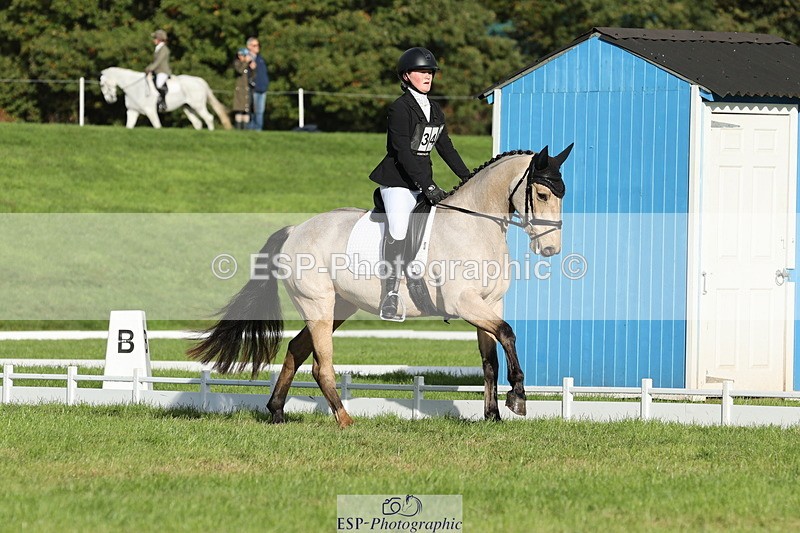 251024A-101220-07685 - D-342-Jessica.Saunders