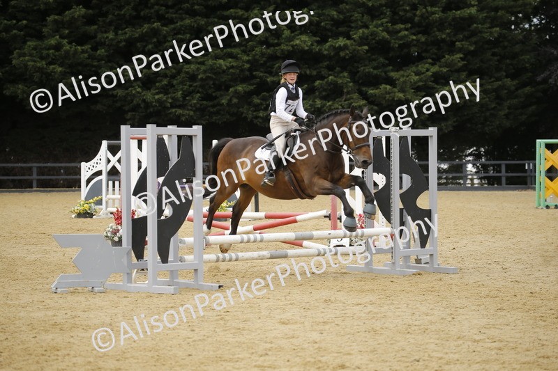 20250622-5987 - 60cm