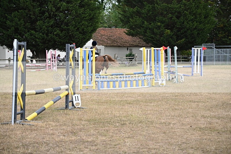 WJ6_0823 - Class 14 Intermediate Jumping 75cm